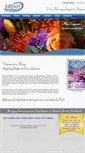 Mobile Screenshot of mirajinternational.net
